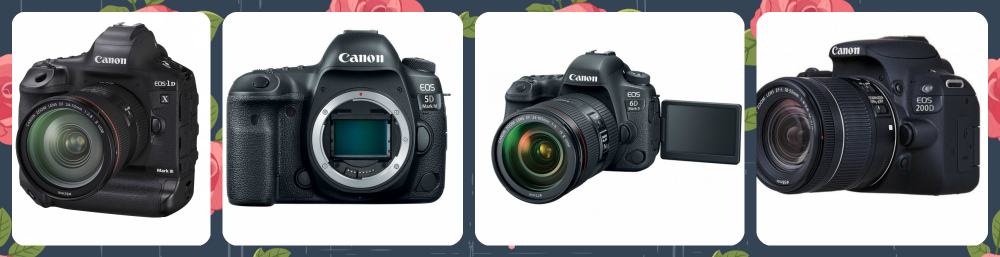 16 beste Canon-kameraer
