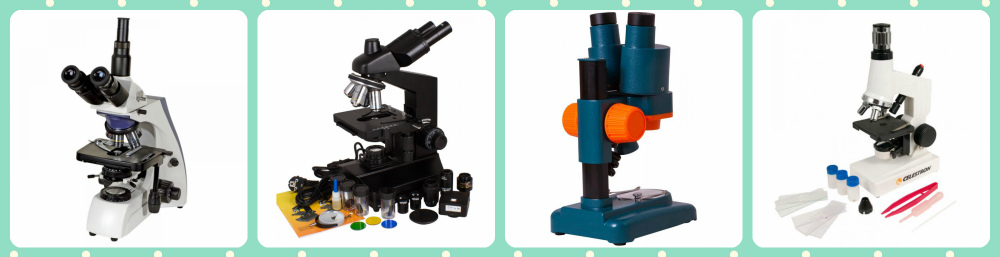15 geriausių mikroskopų, kuriuos pasirinkti
